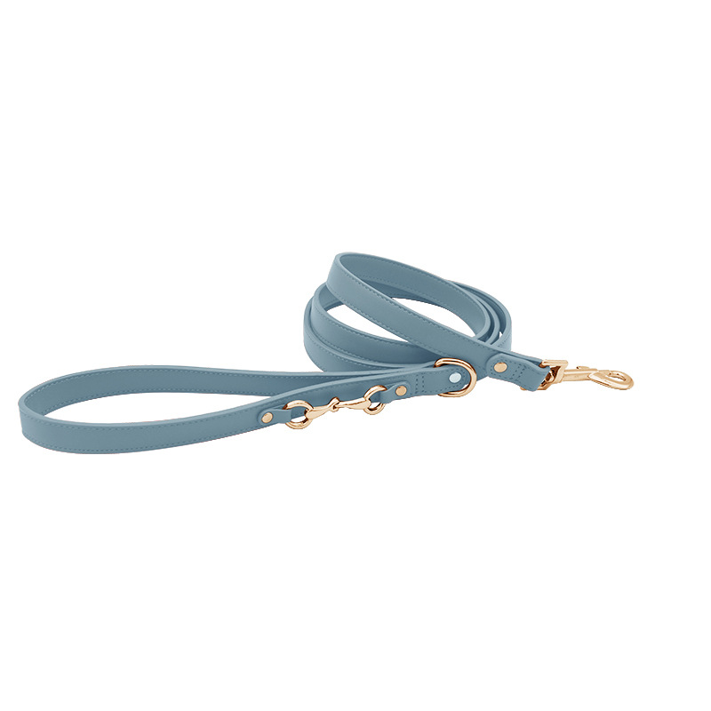 Cherry Red Leather Lead & Multi-Length Lead Set - Blue