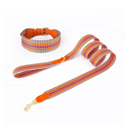 Tan Leather Collar & Lead Set