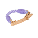 Woven Collar in Blue for Small Dogs - Violet