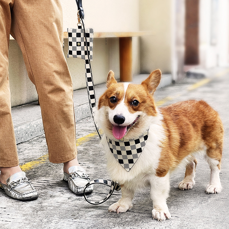 Dapper Check Bow, Tie or Bandana Lead