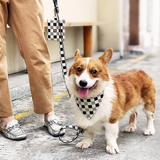 Dapper Check Bow, Tie or Bandana Lead - view 2