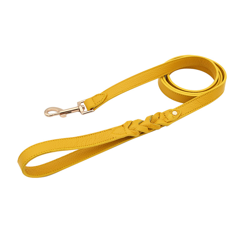 Tangerine & Ochre Braided Leather Lead