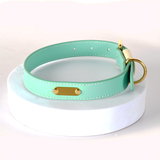 Mint & Butter Colour-Block Leather Collar - Green