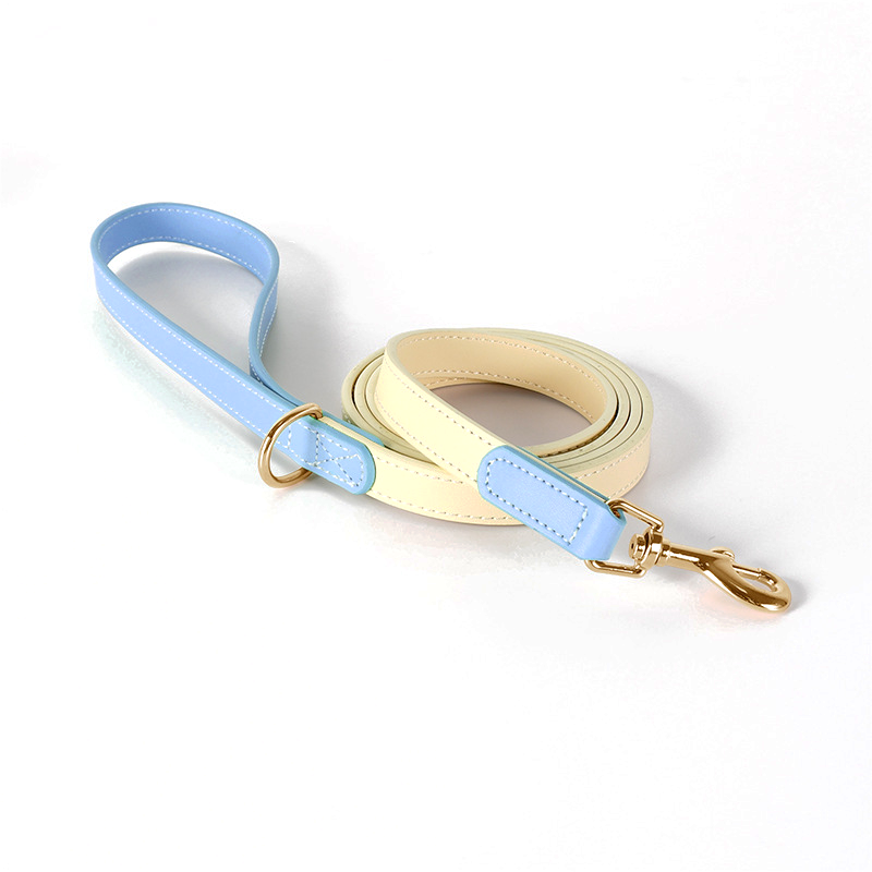 Mint & Butter Colour-Block Leather Lead