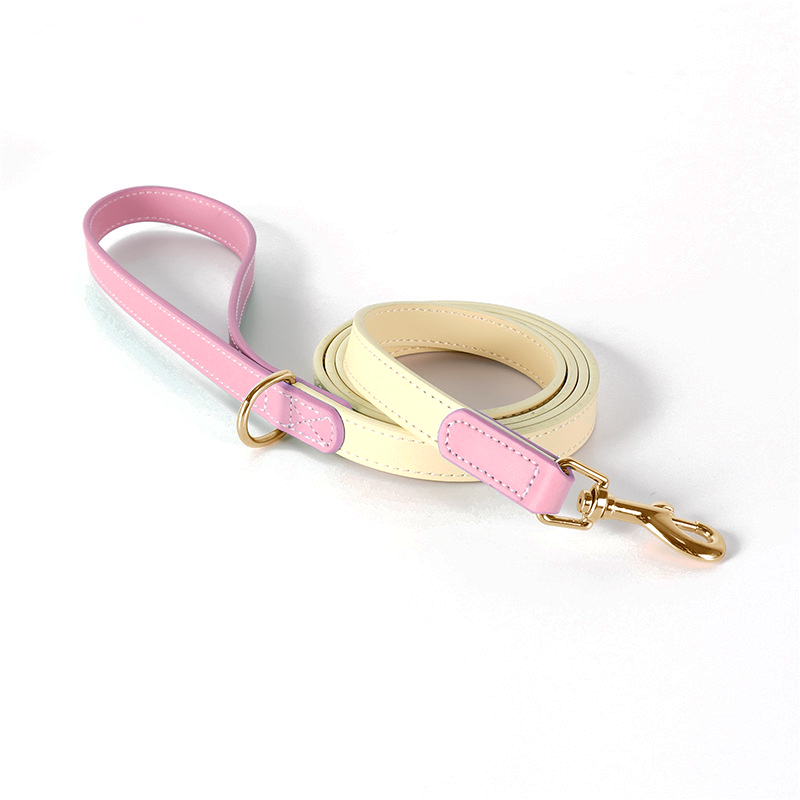 Mint & Butter Colour-Block Leather Lead