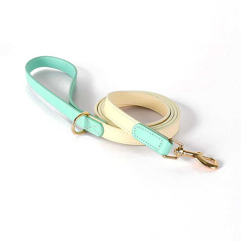 Mint & Butter Colour-Block Leather Lead - Green