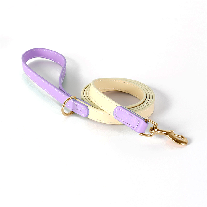 Mint & Butter Colour-Block Leather Lead