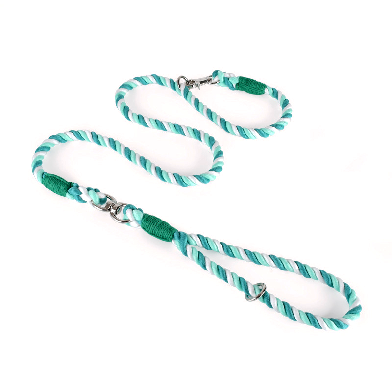 Rainbow Ombre Rope Slip Lead - Fern Green