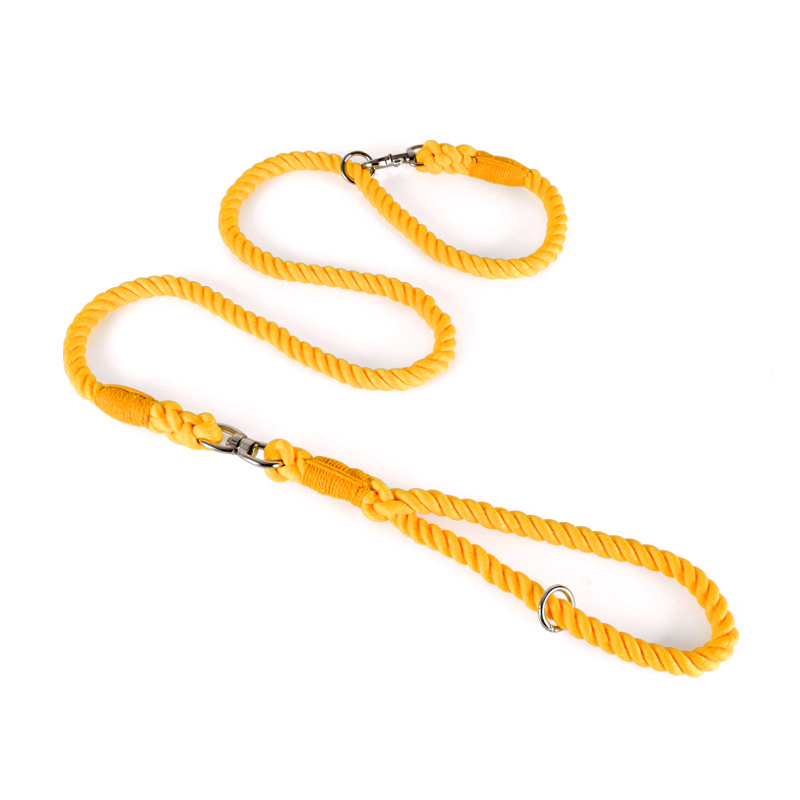 Rainbow Ombre Rope Slip Lead - Honey Orange