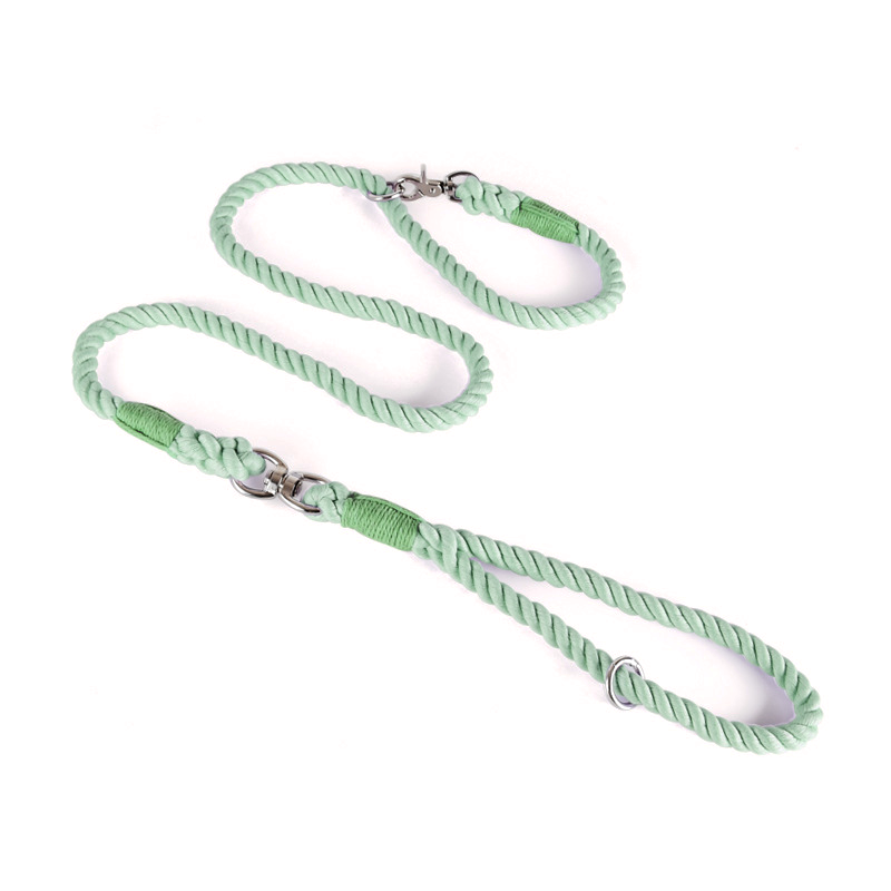 Rainbow Ombre Rope Slip Lead - Mint