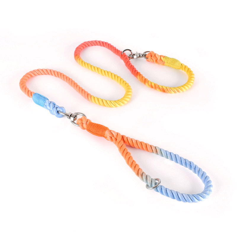 Rainbow Ombre Rope Slip Lead - Rainbow