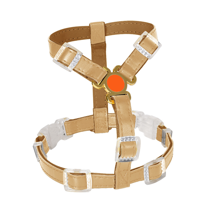 Brights Harness for Cats & Small Dogs