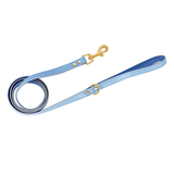 Brights Lead for Small Dogs - Blue
