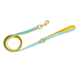 Brights Lead for Small Dogs - Green