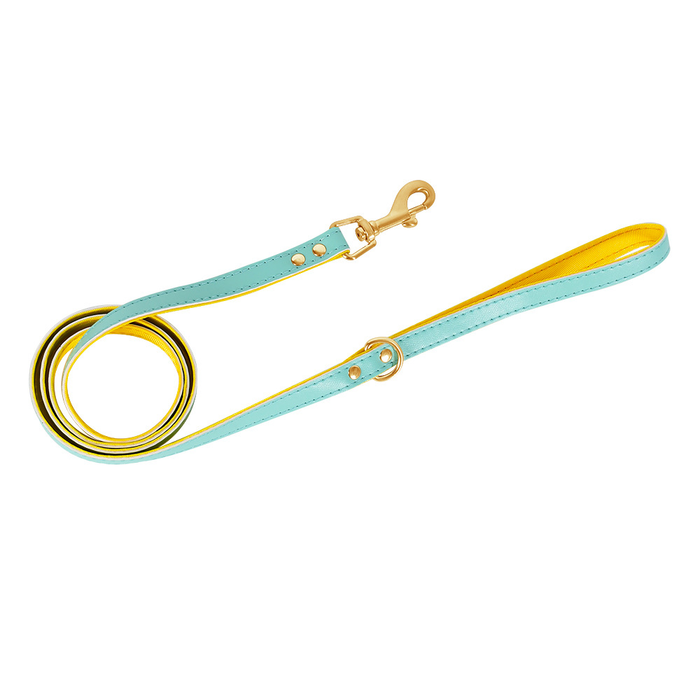 Two-Tone Leather Lead in Navy & Ochre
