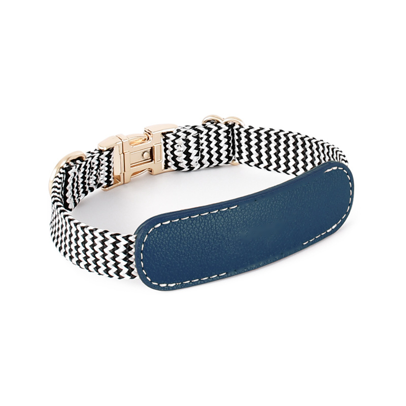 Brights Collar for Medium to Large Dogs - Blue