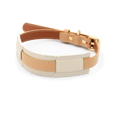 Cream Panel Collar for Medium to Large Dogs