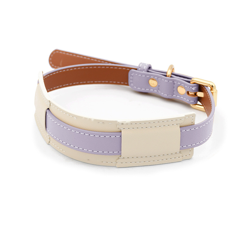 Cream Panel Collar for Medium to Large Dogs - Violet