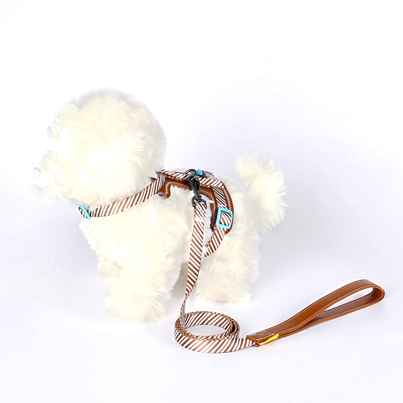 Leather Harness & Lead Set for Small Dogs - view 2