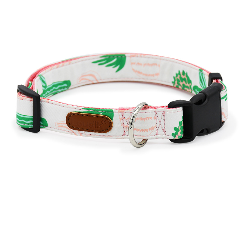 Breathable Collar for Medium to Large Dogs