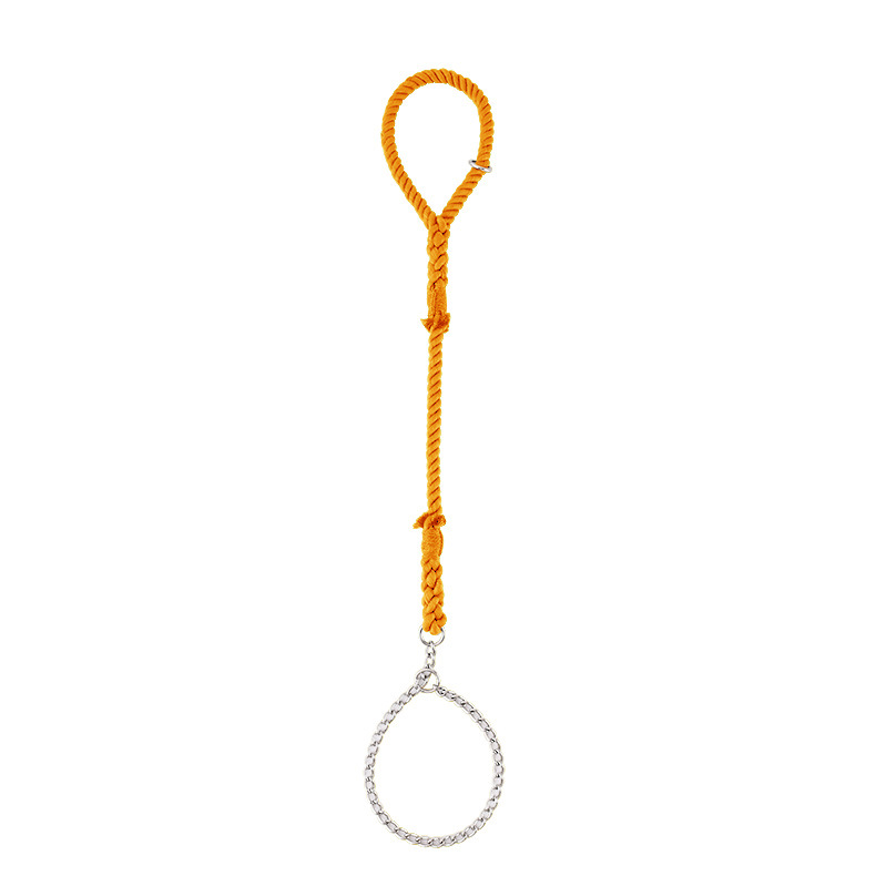 Forest Green Rope Slip Lead - Honey Orange