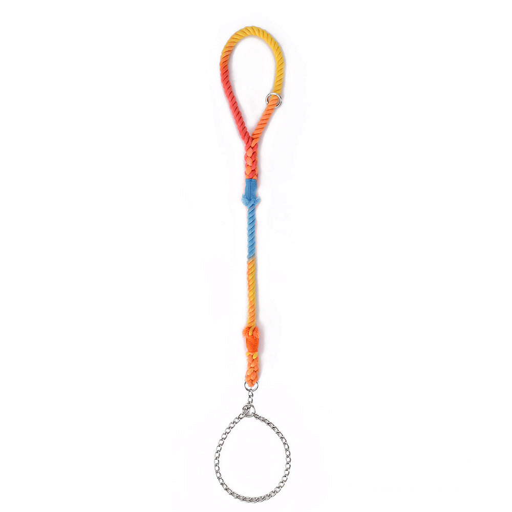Forest Green Rope Slip Lead - Rainbow