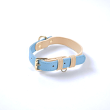 Blush Two-Tone Genuine Leather Collar Walk Set - Sky Blue