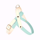 Blush Two-Tone Genuine Leather Harness Walk Set - Mint