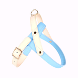 Blush Two-Tone Genuine Leather Harness Walk Set - Sky Blue