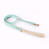 Blush Two-Tone Genuine Leather Lead Walk Set - Mint