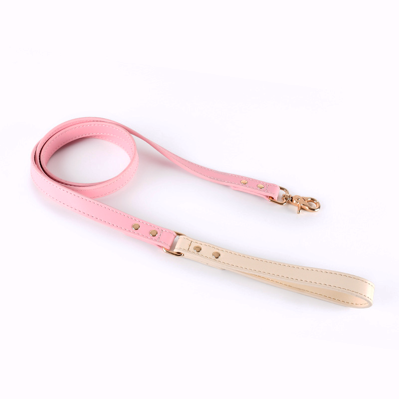 Blush Two-Tone Genuine Leather Lead Walk Set - Princess Pink