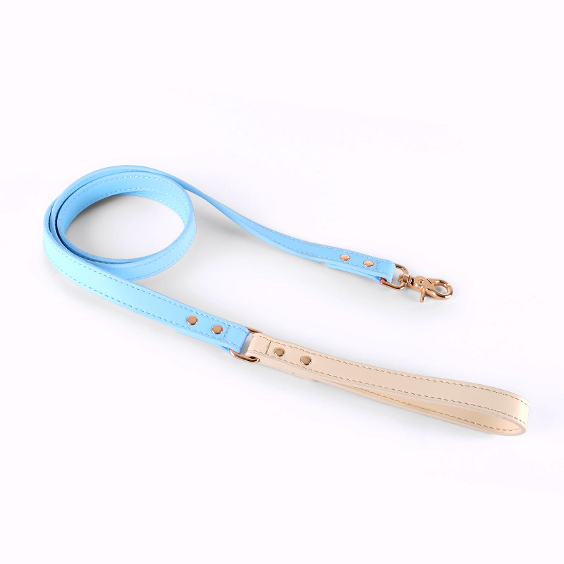 Blush Two-Tone Genuine Leather Lead Walk Set - Sky Blue