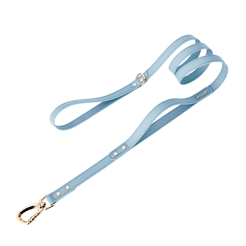 Close-Control Double-Handle Lead in Vegan Leather - Blue