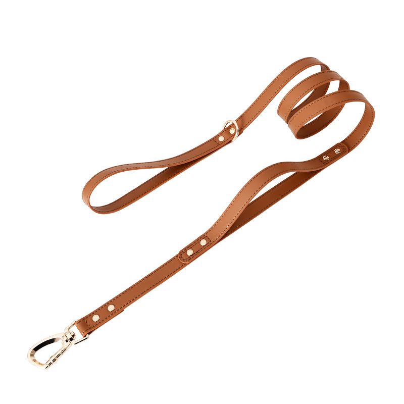Close-Control Double-Handle Lead in Vegan Leather - Tan