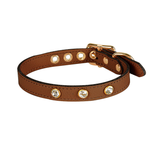 Blush Studded Genuine Leather Collar - Tan