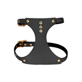 Blush Studded Genuine Leather Harness - Black