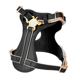 Harness in Apricot for Small Dogs - Black