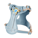 Harness in Apricot for Small Dogs - Blue