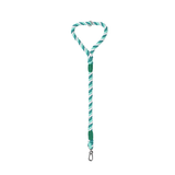 Twisted Rope Short Traffic Lead in Bold Colours - Fern Green