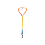 Twisted Rope Short Traffic Lead in Bold Colours - Rainbow