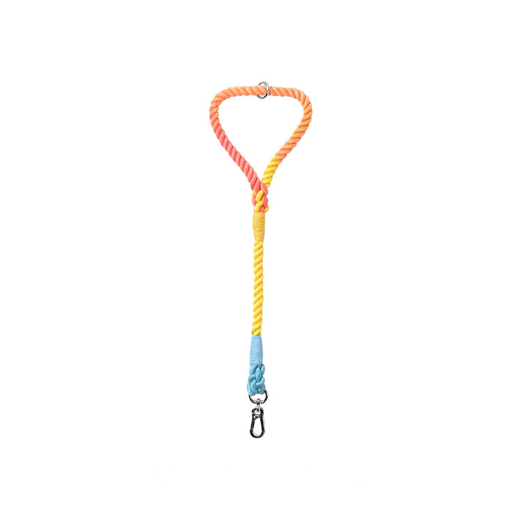 Twisted Rope Short Traffic Lead in Bold Colours - Rainbow