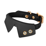Tailored Collar Harness & Lead Set in Genuine Leather - Black