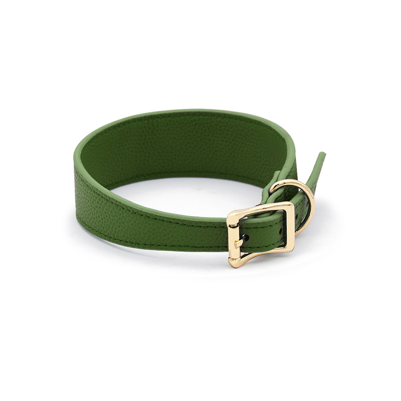 Deep Teal Wide Comfort Collar, Gold Tags - Green