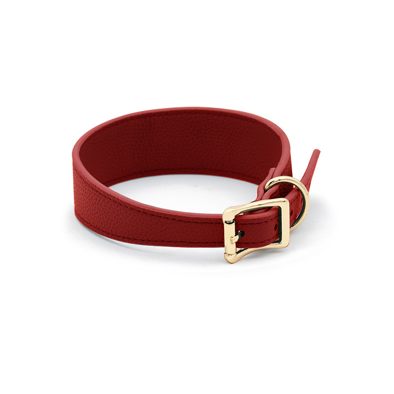 Deep Teal Wide Comfort Collar, Gold Tags - Red