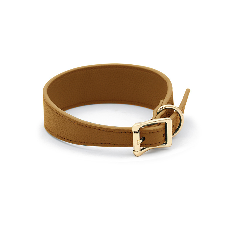 Deep Teal Wide Comfort Collar, Gold Tags - Tan