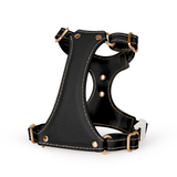 Brights Harness - Black
