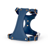 Brights Harness - Blue