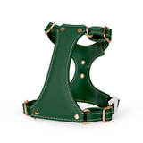 Brights Harness - Green