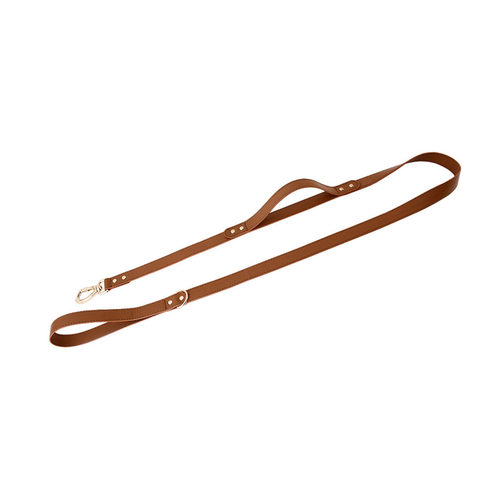 Twin-Handle Lead with Charm Tag in Tan Vegan Leather