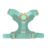 Leather Harness in Apricot for Small Dogs - Green